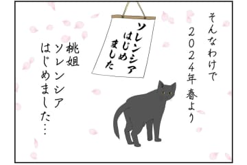 【マンガ・老猫日誌 ＃2】関節炎の新薬、はじめました！18歳の元保護猫・桃姐