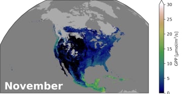 NASA、植物の生育状況を監視するツールを開発–海洋観測データで地図化
