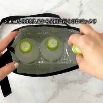 セリア、ダイソー、キャンドゥ「めちゃくちゃ欲しかった！」「マチありで使いやすい」コスパ最強保冷バッグ4選