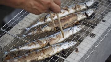 【ゆりあげ港朝市で「さんま祭り」開催】約2,000匹を用意！炭火で焼き上げるさんまを満喫