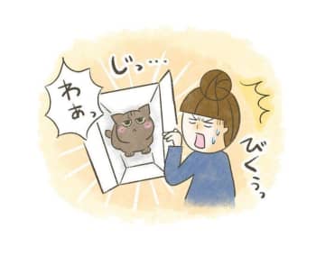 夏の恐怖体験！猫たちの不意打ちドッキリに心臓バクバク【連載】交通事故にあった猫を拾いました#223