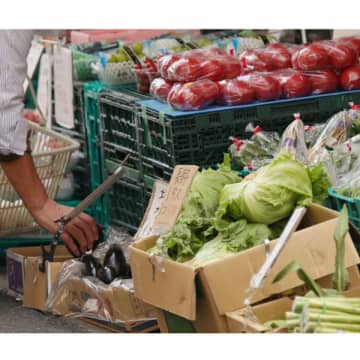 記録的猛暑&少雨で野菜に大ダメージ…15品目中11品目が高値の衝撃予想