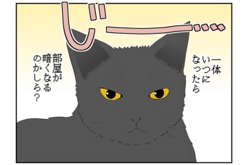 【マンガ・老猫日誌 ＃3】猫、圧をかける？ 18歳の元保護猫・桃姐