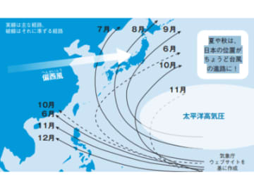 台風はなぜ夏と秋にやってくる？その気象メカニズム【眠れなくなるほど面白い 図解 天気の話】