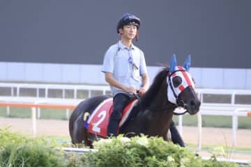 TCK所属ディクテオン、矢野貴之騎手とのコンビでコリアカップへ
