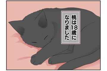 【マンガ・老猫日誌 ＃5】初めて猫を迎えた時は…18歳の元保護猫・桃姐