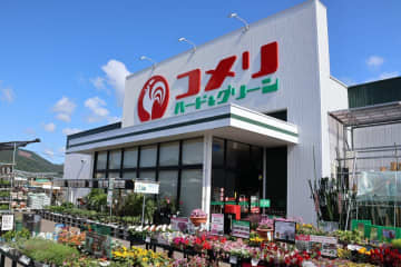 コメリ、愛媛県八幡浜市に「コメリハード＆グリーン保内店」9月17日オープン