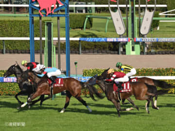【紫苑Ｓ】前走1着馬は連対馬が出ている！1勝クラス組で見る攻略POINT