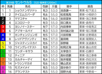【セントウルS／枠順】トウシンマカオが「馬券内率60％」該当　“内枠がいいとは限らない”一発ありそうな枠を手にした伏兵は