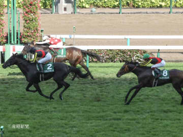 【札幌2歳S】芝1800Ｍで勝ち上がったかチェック！新馬組で見る攻略POINT