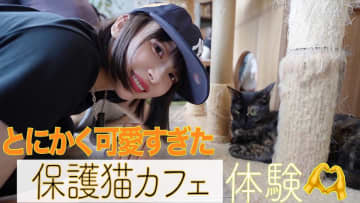 岡田紗佳、保護猫カフェで猫たちと戯れる　癒しのツーショットに視聴者歓喜「尊い」