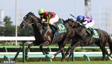 【京成杯オータムH】マイル路線整備もサマーマイルシリーズ重視は変わらない！？ 過去10年の傾向から見る人気と配当