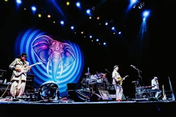 BEAT、一夜かぎりの武道館公演のレポートが到着 80年代キング・クリムゾンの名曲に観客が熱狂