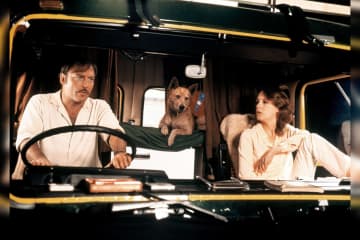 リチャード・フランクリン監督の最高傑作 映画『ロードゲーム』10月31日(金)よりシネマート新宿ほか、日本初公開決定！