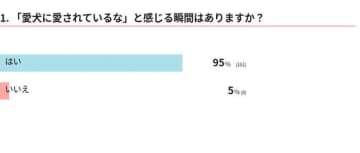 【調査】愛犬からの愛情を感じる人は9割以上！飼い主さんたちの体験談