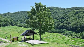 【若林直樹のトラベルフォトギャラリー】稲倉の棚田（長野県）