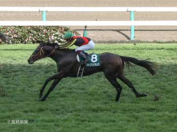 【札幌2歳S】4着が最高で連対なし！買ってはいけない馬券とは！？