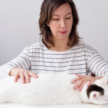 お家でできる愛猫のための『ツボマッサージ』5つのおすすめスポットとそれぞれの効能