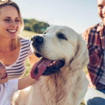 愛犬に『たくさん話しかける』べき理由３つ　良い影響が起こる？声を掛けるときのポイントまで