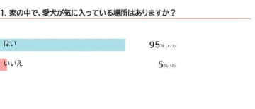 【調査】犬が好きな場所は？　ソファや人の足元を好む理由｜獣医師解説