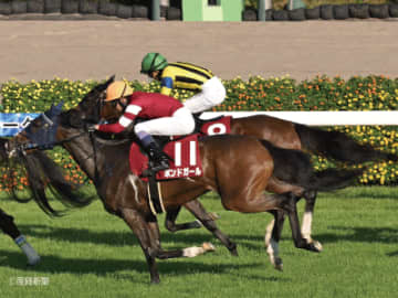 【紫苑Ｓ】1頭軸マルチで軸にすべきは！？三連単を的中させる軸馬・相手馬の狙い方