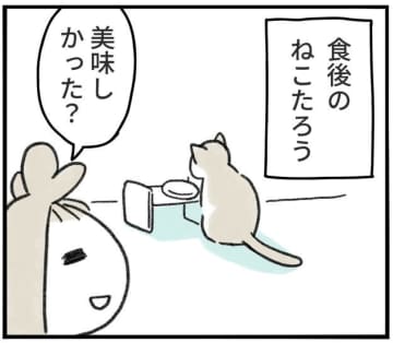 「あれ？話通じたかも、って思うとき、うれしいよね」 愛猫とのかわいいやり取りを描いた漫画に「会話できてる〜！」「共感しかなーい！」