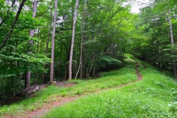 「山はもう最後かも…」暑さに根負け？　弱気なシニア女性のため「避暑登山プラン」実行！　場所と結果