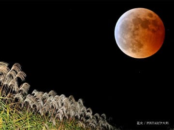 約3年振りの『皆既月食』がいよいよ！　さらに【土星】が見れるチャンスも？