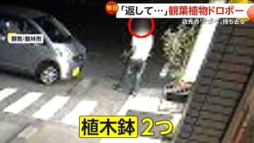 「ショックというか…残念」約2年間大切に育てていた「アガベ」持ち去る　コインランドリーの店先で観葉植物ドロボー　群馬・館林市