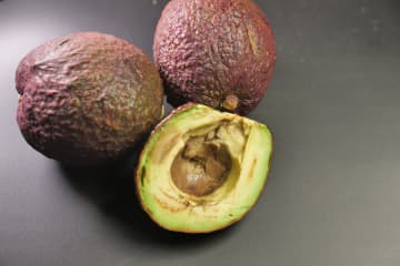 アボカドが腐っている８つのサイン！柔らかいけど大丈夫？安全な見分け方を解説