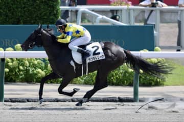【札幌3R】サツキレジーナが初勝利…小林美テーオーテバルディは2着