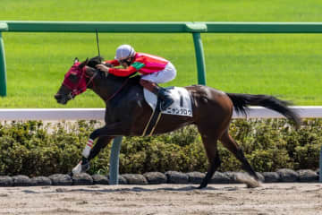 【中山3R】ニャンタロウが5馬身差の圧勝