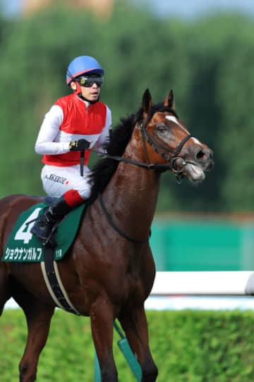 【札幌2歳S】池添「新馬前から楽しみにしていた馬」ショウナンガルフが重賞初制覇