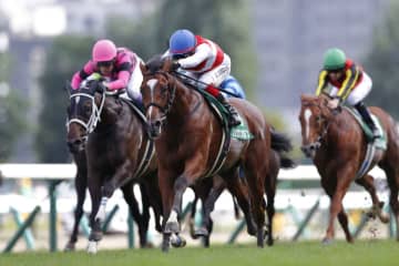 【札幌2歳S】ショウナンガルフがデビュー2連勝…池添騎手はJRA重賞100勝
