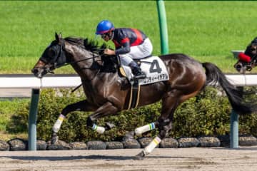 【中山8R】ロフティーイデアルが惜敗に終止符…待望の2勝目をマーク