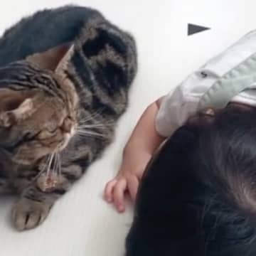 床で寝ていた猫と赤ちゃん→見守っていたら…思わずキュンとする『尊いやり取り』に「癒ししかない」「控え目なタッチがたまらん」と19万再生