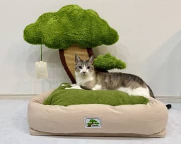 飼い主「めっちゃ可愛い猫ベッド買ったった！！！」→ 予想以上に殿様な光景が爆誕し「すごい世界観」「殿さま的な貫禄感」と話題に！
