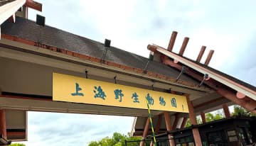 「チンパンジーにスマホ見せないで」＝上海野生動物園が呼び掛け