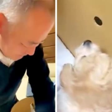 お父さんが『赤ちゃん犬』と初めて会った日→箱を開けた瞬間に…あまりにも尊い『はじめましての光景』が9万再生「素敵すぎ」「何度も見ちゃう」