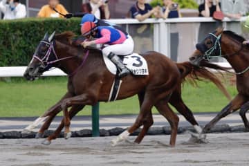 【札幌12R】プラス36kg・初ダートのメイショウツヨキが快勝