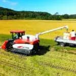酷暑を避けて7月上旬に稲刈りできる「避暑型水稲」　北海道イネの非感光性生かし可能に　北海道大学