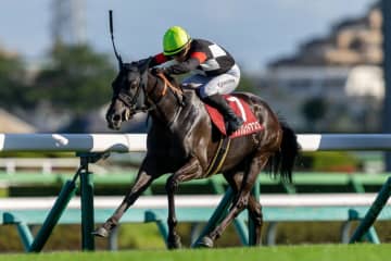 【紫苑S】伏兵ケリフレッドアスクが逃げ切る…リンクスティップは着外
