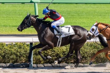 【新馬/中山6R】ナダル産駒 ヴァレンティーニがデビューV
