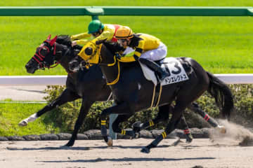 【中山3R】断然人気ドンエレクトスが抜け出す