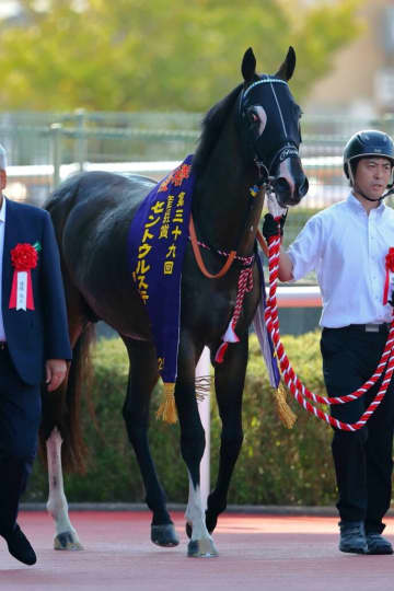 【セントウルS】カンチェンジュンガが豪快な差し切りV