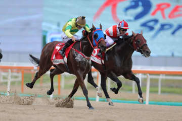 【コリアスプリント】武豊チカッパは惜しい2着…勝利したのは香港馬セルフインプルーブメント