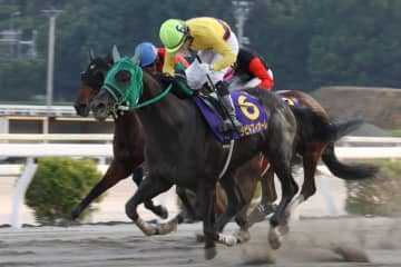 【高知・西日本3歳優駿】兵庫のラピドフィオーレ快勝