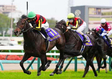 【セントライト記念登録馬】皐月賞馬ミュージアムマイルなど12頭