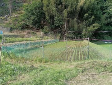山暮らしの大敵は野生動物　赤堀楠雄 林材ライター　連載「グリーン＆ブルー」