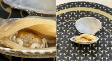 「もしこれ見つけたら食べていいの？」アサリの中からひょっこり顔出すカニが発見されSNSで話題に！